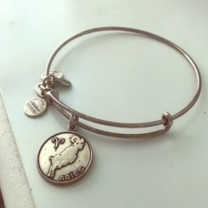 Horoscope Alex and Ani bracelet